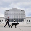 Trump administration asks U.S. Supreme Court to uphold order aimed at ending birthright citizenship