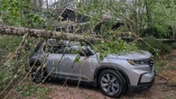 Storm downs trees, knocks out power in Mattawa, Ont. area