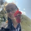 Sometimes a relationship will change you. For me, it was with 3 scraggly, white backyard chickens