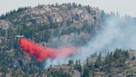This red retardant is crucial in the fight against wildfires. But is it also harming the environment?