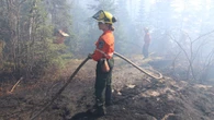 Wildfire response training should be made available to more civilians, experts say