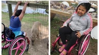 9-year-old's stolen wheelchair found stripped and unusable in east London