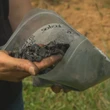 Can charred wood help Nova Scotia farmers — and the climate?