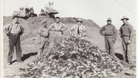 75 years of Alberta's mission to keep rats at bay