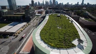 Ontario's scrapping of Toronto's green roof bylaw has opposition MPPS, advocates seeing red