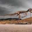 T. rex nicknamed Gus sells at auction for record $50 million US