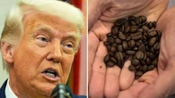 Your morning cup of coffee is about to cost even more — thanks to U.S. tariffs