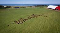 P.E.I. farmland loss reaching crisis levels, warns federation of agriculture