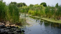 Some eastern Ontario regions asked to save water amid near-drought