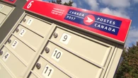 Racist graffiti on community mailbox highlights need for anti-racism work in N.S.