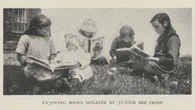 N.L.’s travelling book boxes were the little free libraries of the early 1900s