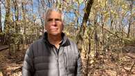 Verdun borough, residents butt heads over future of urban forest on Nuns' Island