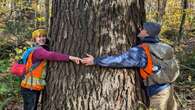 Nature Trust aims to preserve record number of N.B. locations this year