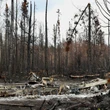 After the firestorm: Loss and hope in Saskatchewan's scorched north
