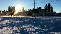 Yukon Quest sled dog race returning in 2027, organizers say