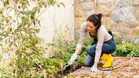 Think it's too late in the year to garden? Think again, says garden expert