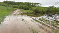 Heavy rain brings challenges and benefits for Alberta farmers