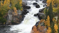 N.W.T. making good progress on conservation goals, auditor general finds