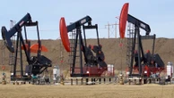 Oil and fuel prices to remain high throughout the year: Deloitte report
