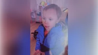 Halifax RCMP looking for missing 5-year-old boy in Musquodoboit Valley