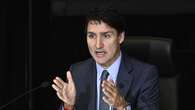 RCMP made India allegations public to disrupt criminal activities, Trudeau tells inquiry