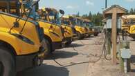 P.E.I. government buying only diesel school buses this year, despite plan to phase them out