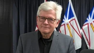 NDP Leader Jim Dinn says government's think-tank plans won't stop teachers from quitting