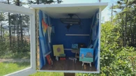 Move over, little free libraries. Deer Lake students have created little free art galleries