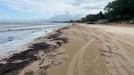 Man killed diving into shallow water at Ipperwash Beach