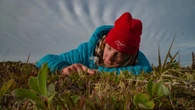 Plant communities in the Arctic are changing along with the climate, study finds