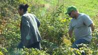 CBC News investigates a human smuggling highway on the Quebec-N.Y. border