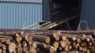 B.C. forestry support grant welcomed by industry stakeholders amid tariff struggles