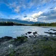 Alberta's old coal mines contaminating rivers and endangering fish, study finds