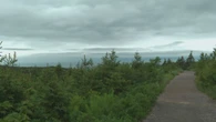 Cape Breton Skyline Trail now requires advanced booking