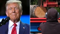 Trump says imports of wood products may pose national security threat — raising fears in B.C.