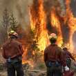 Almost 400 wildfires burning in B.C. amid hot, dry weather