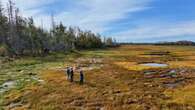 Island Nature Trust wants you... to volunteer to patrol its growing number of protected acres