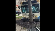 'What a stupid way to die,' thought Halifax woman during close call with runaway bus