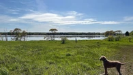 $40K needed to fix damage to popular dog-walking trail in Charlottetown