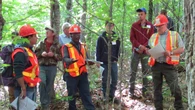 N.B. researchers use satellite tech and AI to identify critical habitats in the wild