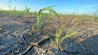 Hot, dry weather in Manitoba this year 'quite serious' for farmers, firefighters