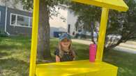 'They were mean to me': 7-year-old Saskatoon girl describes lemonade stand robbery