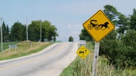 Buggy operator seriously hurt, horse killed in crash with pickup truck in Huron County