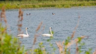 Residents worry Caledon's dumping proposal risks polluting their water. Fears not unfounded, some experts say