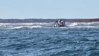 Crew members rescued from sinking mussel boat off P.E.I.'s Malpeque Harbour