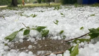 Hail the size of golf balls causes extensive damage in Lumsden area