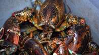 High lobster prices could be a sign of things to come for P.E.I.'s spring fishery