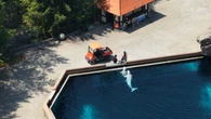 ‘Emergency rescue’ of Marineland’s beluga whales to U.S. aquariums has begun