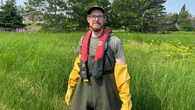 Growth of sea lettuce can cause discoloured water, says biologist
