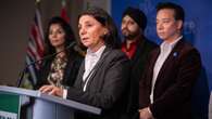 Watchdog finds Vancouver ABC park commissioners flouted policy with secret meetings